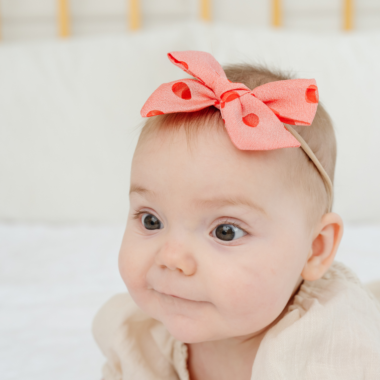 Wild Berry Jacquard Dot Headband Bow