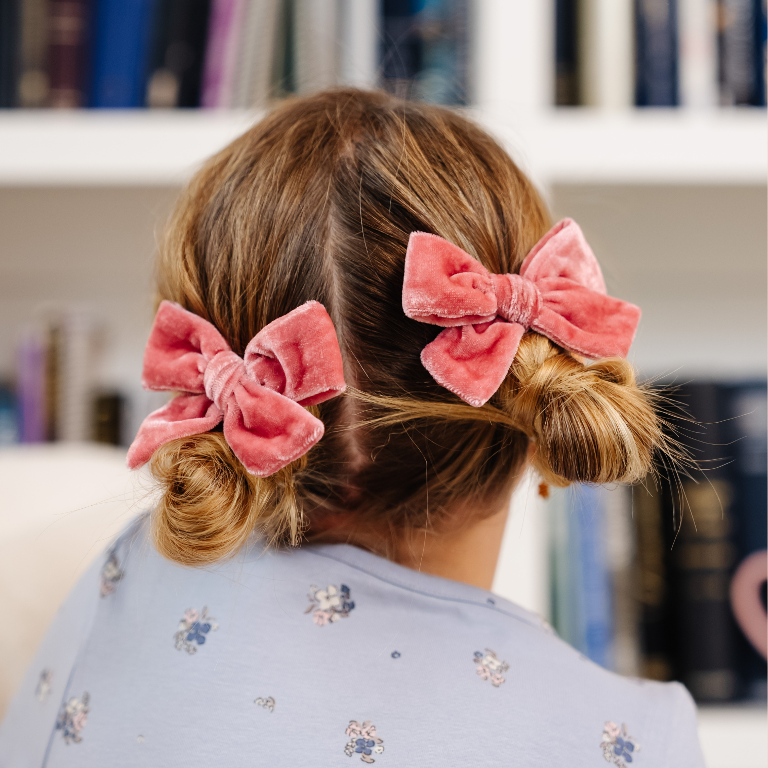 Annual Holiday Bow Subscription