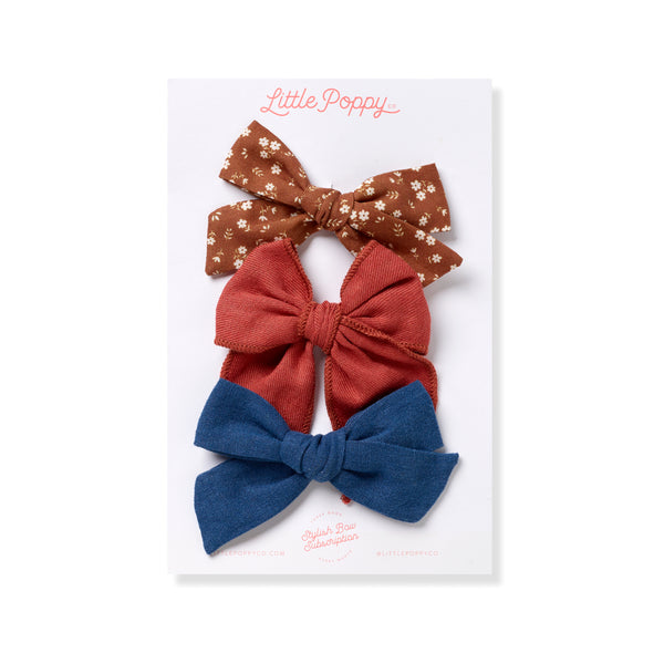 Bow_Clip_Set_fc36ed22-70cd-