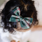 The Clara Bow Clip Set